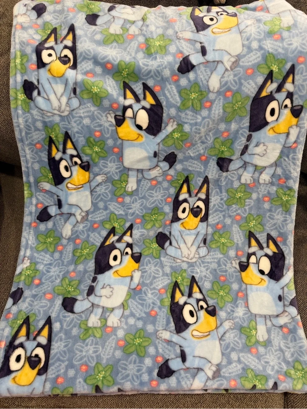 Bluey Blanket